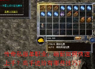 传奇私服单职业:萌新如何快速上手?高手进阶有哪些技巧? 传奇私服单职业:萌新如何快速上手?高手进阶有哪些技巧?
