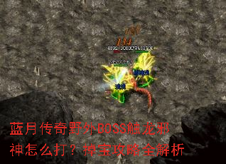 蓝月传奇野外BOSS触龙邪神怎么打?掉宝攻略全解析 蓝月传奇野外BOSS触龙邪神怎么打?掉宝攻略全解析