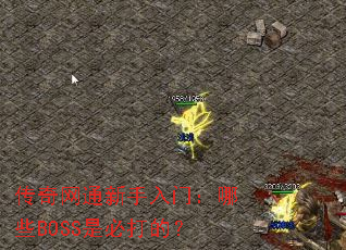������ͨ�������ţ���ЩBOSS�Ǳش�ģ�