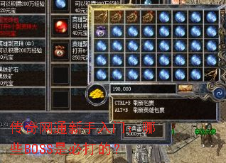 ������ͨ�������ţ���ЩBOSS�Ǳش�ģ�