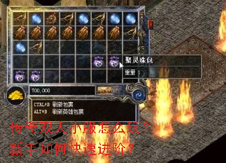 传奇双人小服怎么玩?新手如何快速进阶? 传奇双人小服怎么玩?新手如何快速进阶?