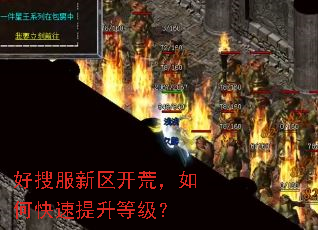 好搜服新区开荒,如何快速提升等级? 好搜服新区开荒,如何快速提升等级?