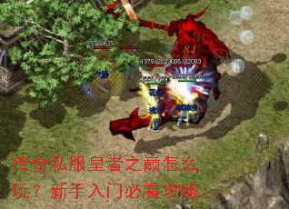 传奇私服皇者之巅怎么玩?新手入门必看攻略 传奇私服皇者之巅怎么玩?新手入门必看攻略