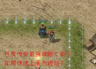 月灵传奇最强攻略?新手如何快速上手与进阶? 月灵传奇最强攻略?新手如何快速上手与进阶?