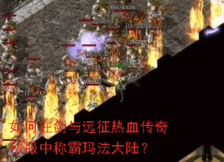 如何在剑与远征热血传奇私服中称霸玛法大陆? 如何在剑与远征热血传奇私服中称霸玛法大陆?