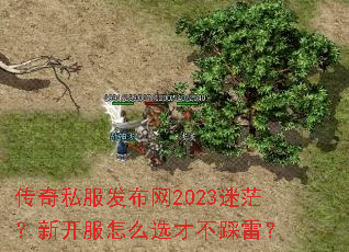 传奇私服发布网2023迷茫?新开服怎么选才不踩雷? 传奇私服发布网2023迷茫?新开服怎么选才不踩雷?