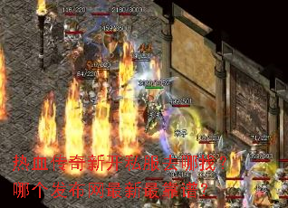 ��Ѫ�����¿�˽��ȥ���ң��ĸ�������������ף�