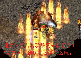 ���䴫��ϻ�˽����վ������SF��������������ôѡ��ô�棿