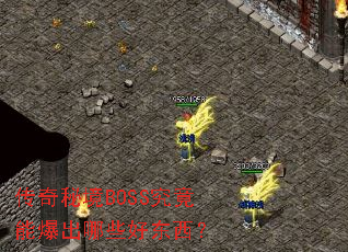 �����ؾ�BOSS�����ܱ�����Щ�ö�����