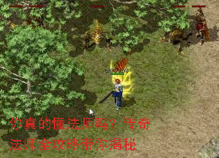 ����Ķ���ʦ�𣿴��淨ʦȫ���Դ������