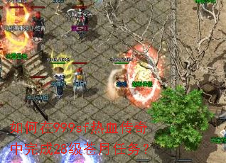 �����999sf��Ѫ���������28����������