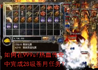 �����999sf��Ѫ���������28����������