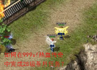 �����999sf��Ѫ���������28����������