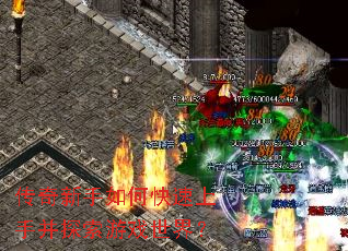 传奇新手如何快速上手并探索游戏世界? 传奇新手如何快速上手并探索游戏世界?