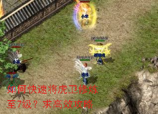 如何快速将虎卫修炼至7级?求高效攻略 如何快速将虎卫修炼至7级?求高效攻略