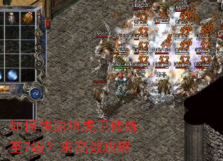 如何快速将虎卫修炼至7级?求高效攻略 如何快速将虎卫修炼至7级?求高效攻略