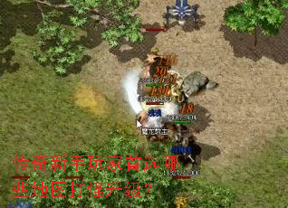 传奇新手玩家首选哪些地图打怪升级? 传奇新手玩家首选哪些地图打怪升级?