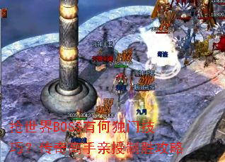������BOSS�кζ��ż��ɣ��������������ʤ����