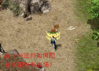 战士与法师如何配合制霸传奇战场? 战士与法师如何配合制霸传奇战场?