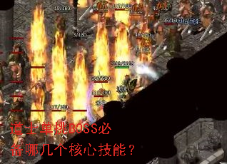��ʿ����BOSS�ر��ļ������ļ��ܣ�