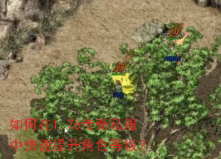 如何在1.76传奇私服中快速提升角色等级? 如何在1.76传奇私服中快速提升角色等级?
