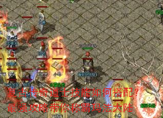 ���Ŵ����ʿ������δ��䣿��ǿ���Դ���ư��귨��½
