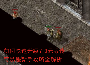 ��ο���������0Ԫ�洫��˽�����ֹ���ȫ����