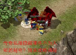 传奇私服隐藏哪些不为人知的秘密?独家攻略揭秘 传奇私服隐藏哪些不为人知的秘密?独家攻略揭秘