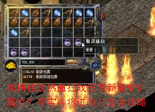 如何修改热血狂战无双新服NPC属性?夺宝神将进阶打造全攻略 如何修改热血狂战无双新服NPC属性?夺宝神将进阶打造全攻略