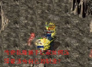 ����˽������������ѡ�����ʺ��Լ���ְҵ��