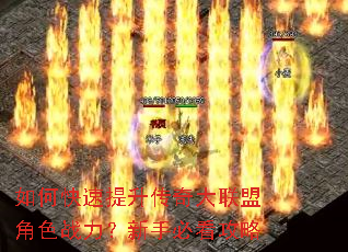 如何快速提升传奇大联盟角色战力?新手必看攻略 如何快速提升传奇大联盟角色战力?新手必看攻略