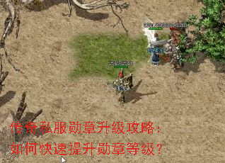 传奇私服勋章升级攻略:如何快速提升勋章等级? 传奇私服勋章升级攻略:如何快速提升勋章等级?