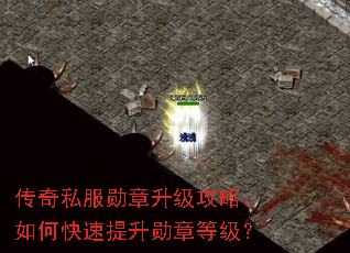 传奇私服勋章升级攻略:如何快速提升勋章等级? 传奇私服勋章升级攻略:如何快速提升勋章等级?