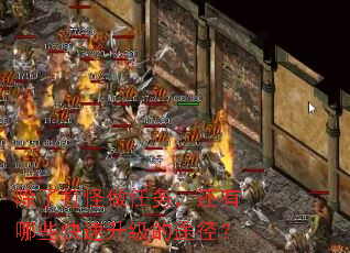 除了打怪做任务,还有哪些快速升级的途径? 除了打怪做任务,还有哪些快速升级的途径?