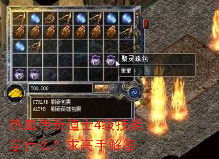 热血传奇道士4级技能学什么?求高手解答 热血传奇道士4级技能学什么?求高手解答