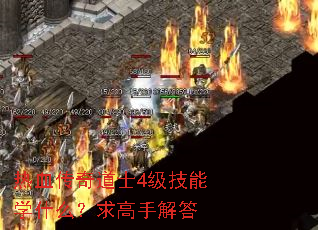 热血传奇道士4级技能学什么?求高手解答 热血传奇道士4级技能学什么?求高手解答