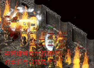 ������⴫����Ϸ�е��������������ԣ�