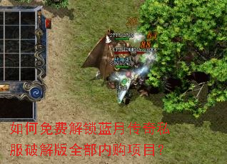 如何免费解锁蓝月传奇私服破解版全部内购项目? 如何免费解锁蓝月传奇私服破解版全部内购项目?
