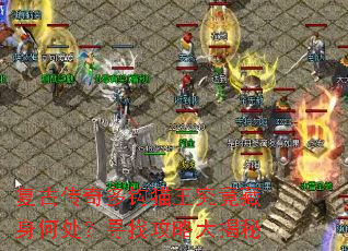 ���Ŵ���๳è�����������δ���Ѱ�ҹ��Դ����