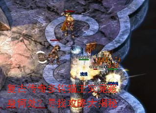 ���Ŵ���๳è�����������δ���Ѱ�ҹ��Դ����