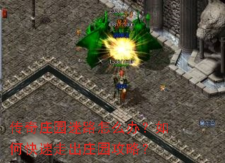 ����ׯ԰��·��ô�죿��ο����߳�ׯ԰���ԣ�