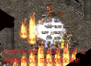 ��Ѫ�������κ춾Ч����Σ��춾ʹ�ü�����ʵս����ȫ����