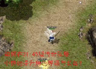 如何在31.45版传奇私服中快速提升角色等级与装备? 如何在31.45版传奇私服中快速提升角色等级与装备?