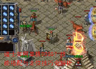 ��ʿ��ε���BOSS�����ܴ�������λ����ȫ����