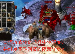 ��ι��Դ�����Ϸ���ַ�NPC���������о������������