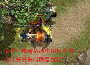 道士在传奇私服中如何高效战斗并发挥召唤兽优势? 道士在传奇私服中如何高效战斗并发挥召唤兽优势?
