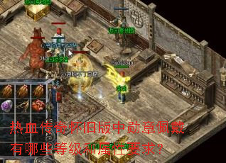 热血传奇怀旧版中勋章佩戴有哪些等级和属性要求? 热血传奇怀旧版中勋章佩戴有哪些等级和属性要求?