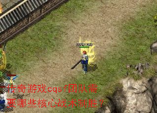 传奇游戏cqsf团队需要哪些核心战术制胜? 传奇游戏cqsf团队需要哪些核心战术制胜?
