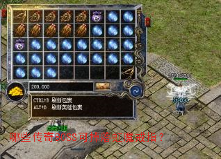 ��Щ����BOSS�ɵ����ħ��ָ��