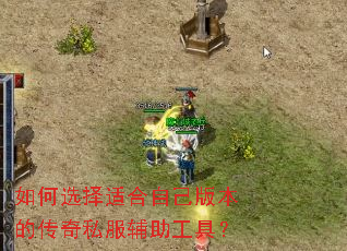 ���ѡ���ʺ��Լ��汾�Ĵ���˽���������ߣ�